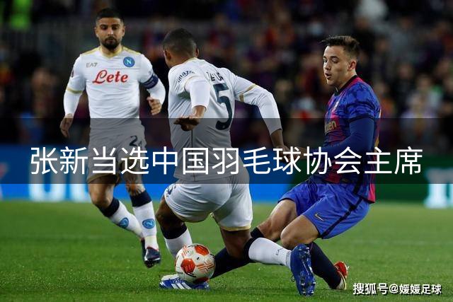 张新当选中国羽毛球协会主席